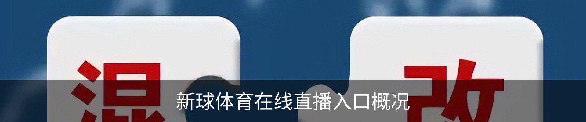 新球体育在线直播入口概况